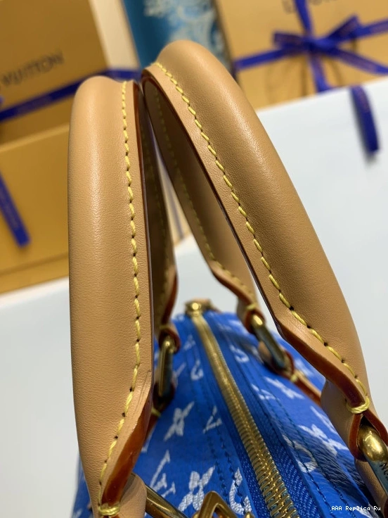 AAA Pruses Bags Louis SPEEDY Vuitton 25 0711